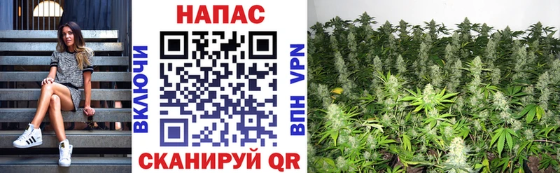 Бошки Шишки AK-47  Верхний Тагил 